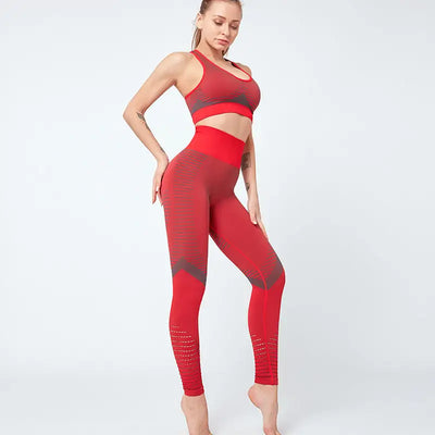 Seamless Yoga Pants Sportswear High Waist Women Gym